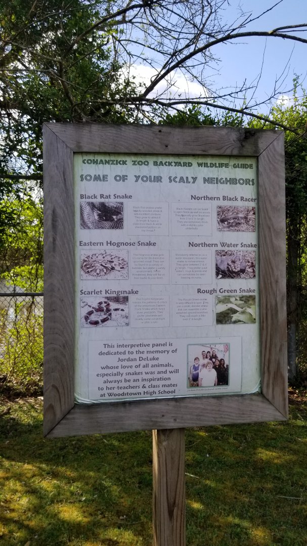 Cohanzick Zoo - Local snakes