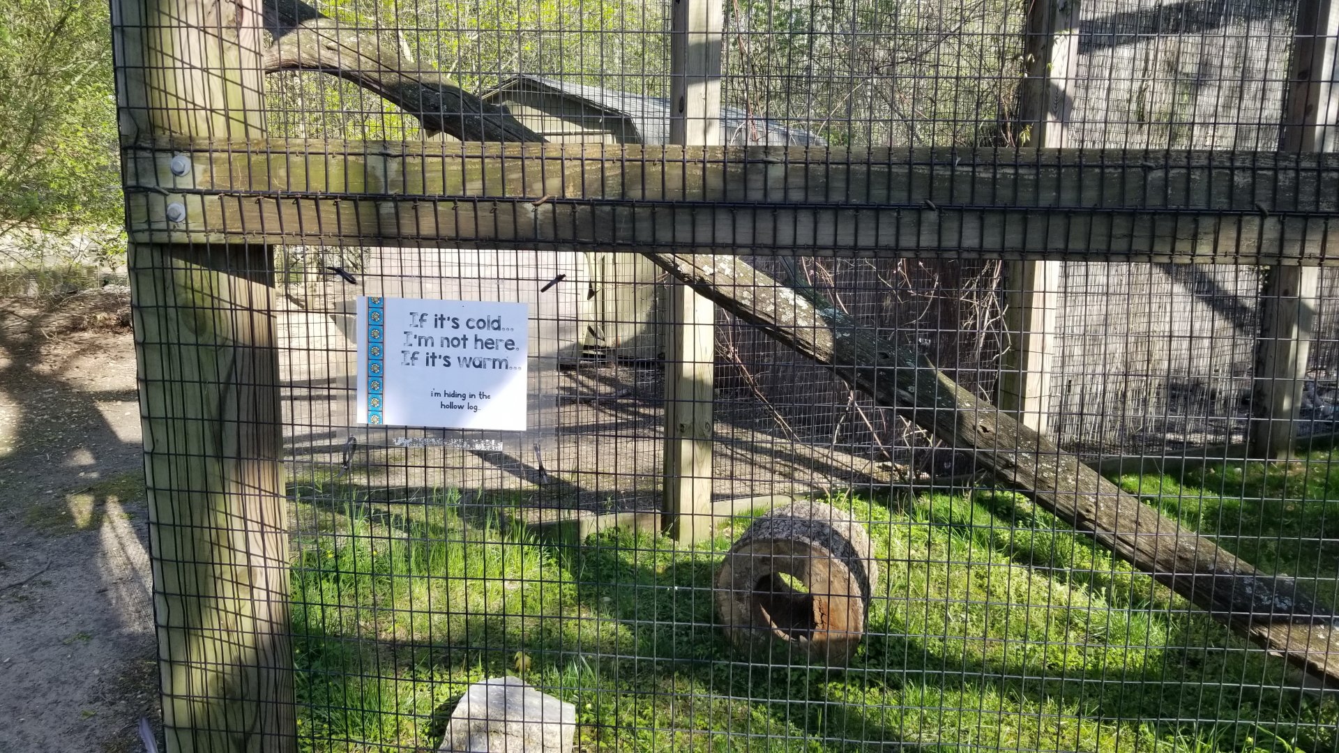 Cohanzick Zoo - Lowland paca