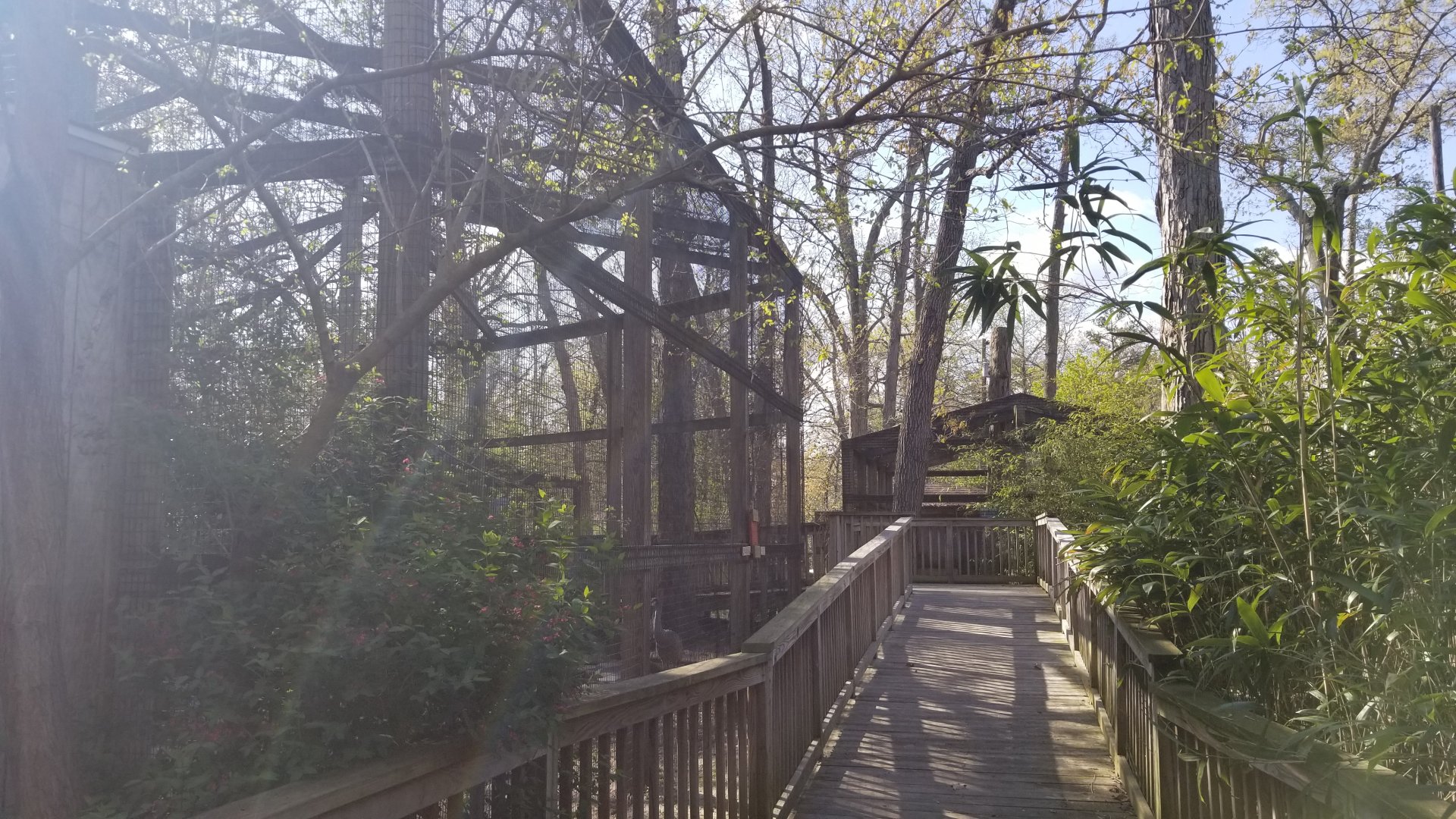 Cohanzick Zoo - Pathway