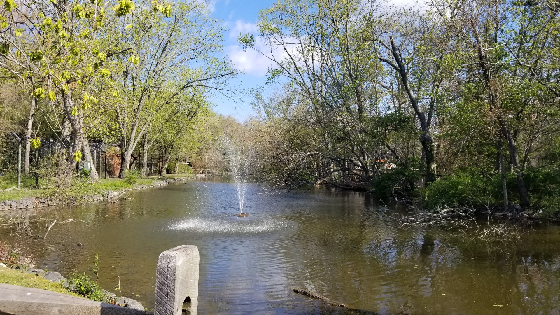 Cohanzick Zoo - Pond in the middle of the zoo