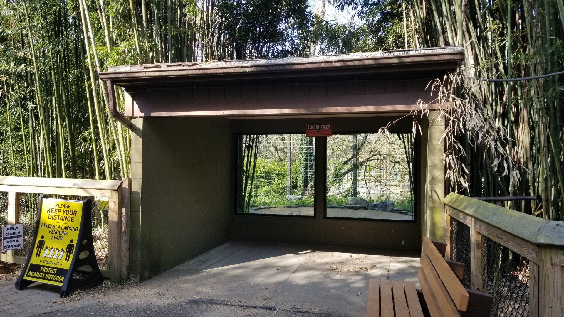 Cohanzick Zoo - Tiger viewing spot #1