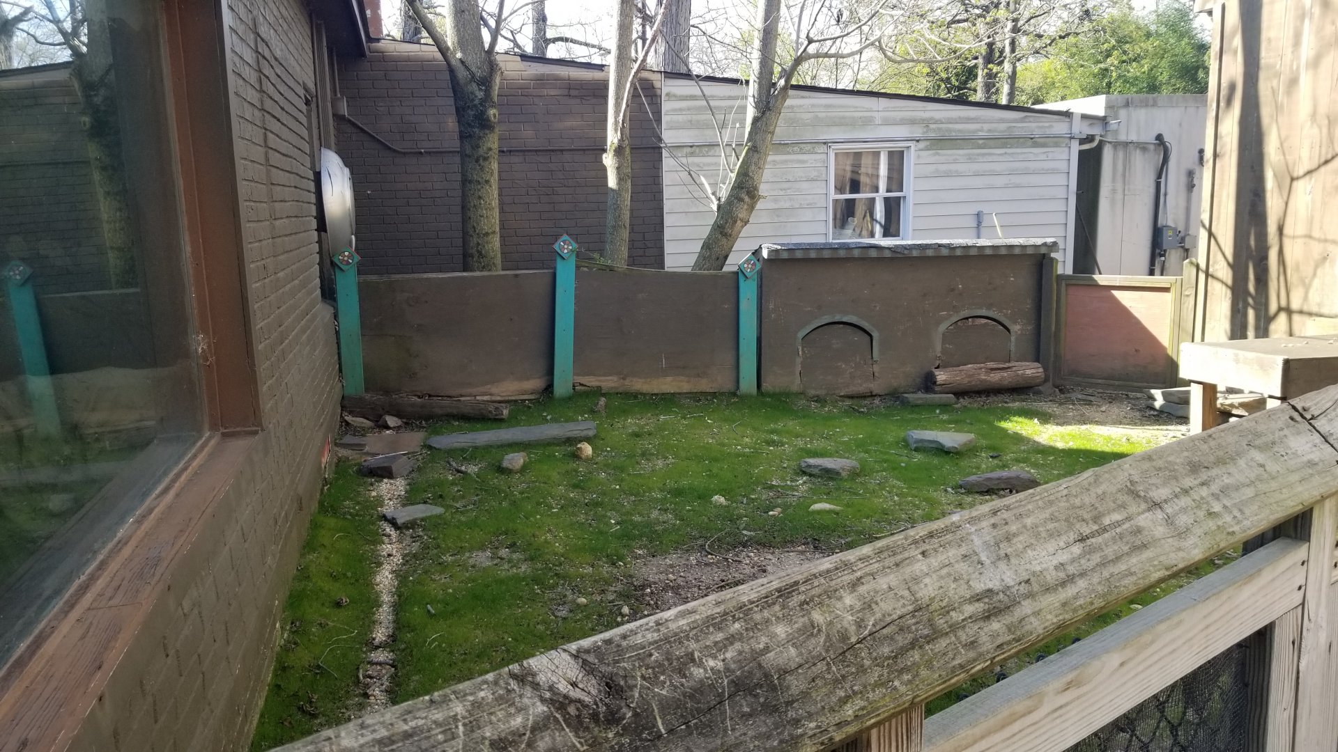 Cohanzick Zoo - Tortoise area?