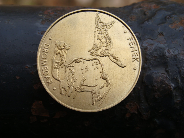 Coin  from the zoo