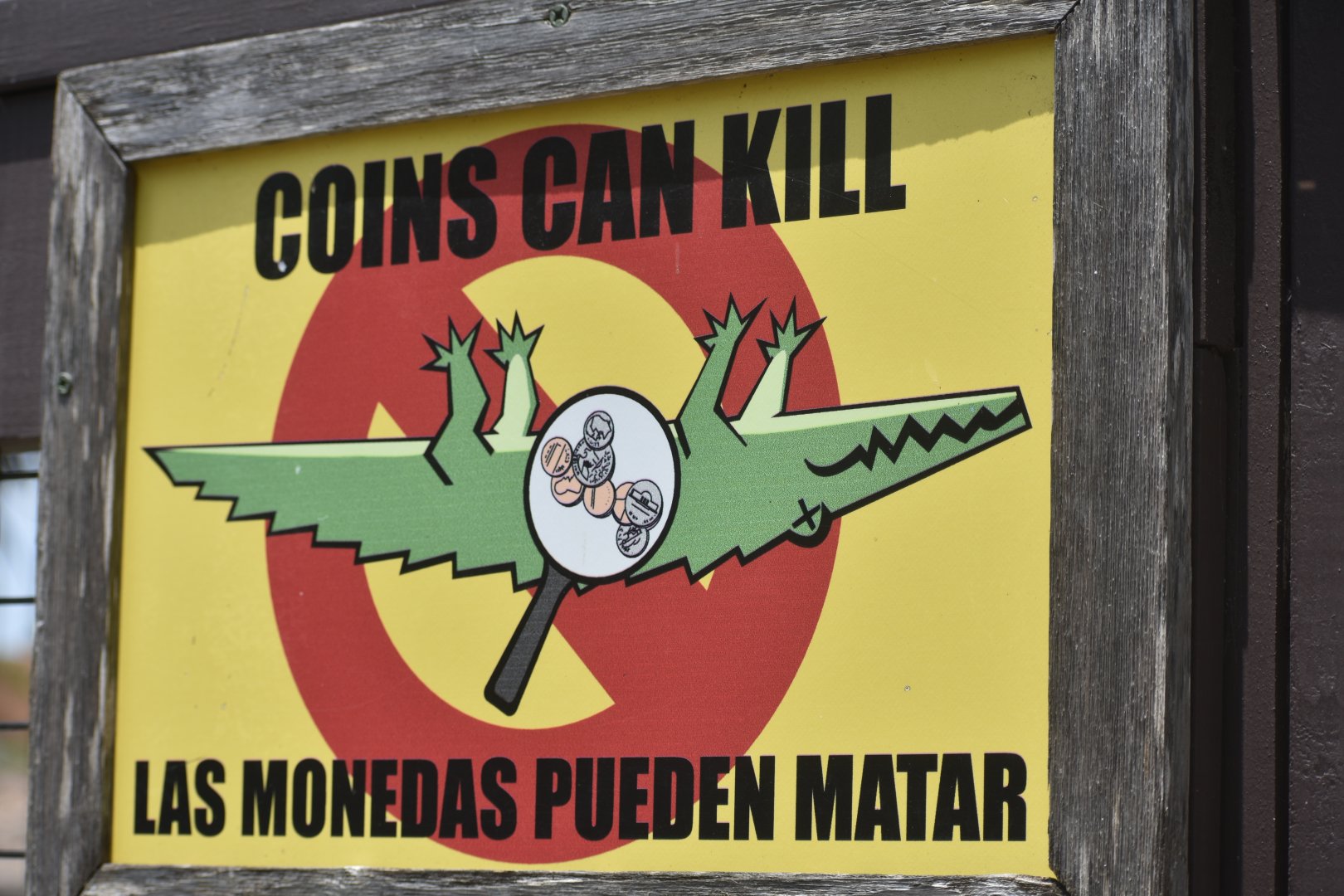 Coins Can Kill crocodile sign