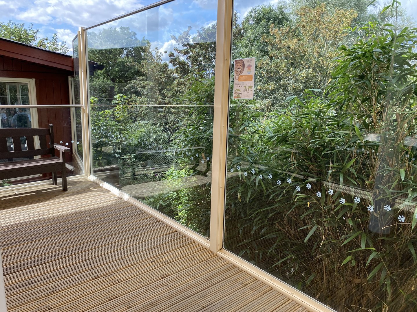 colchester new cheetah enclosure 3