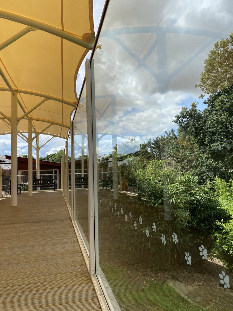 Colchester new cheetah enclosure