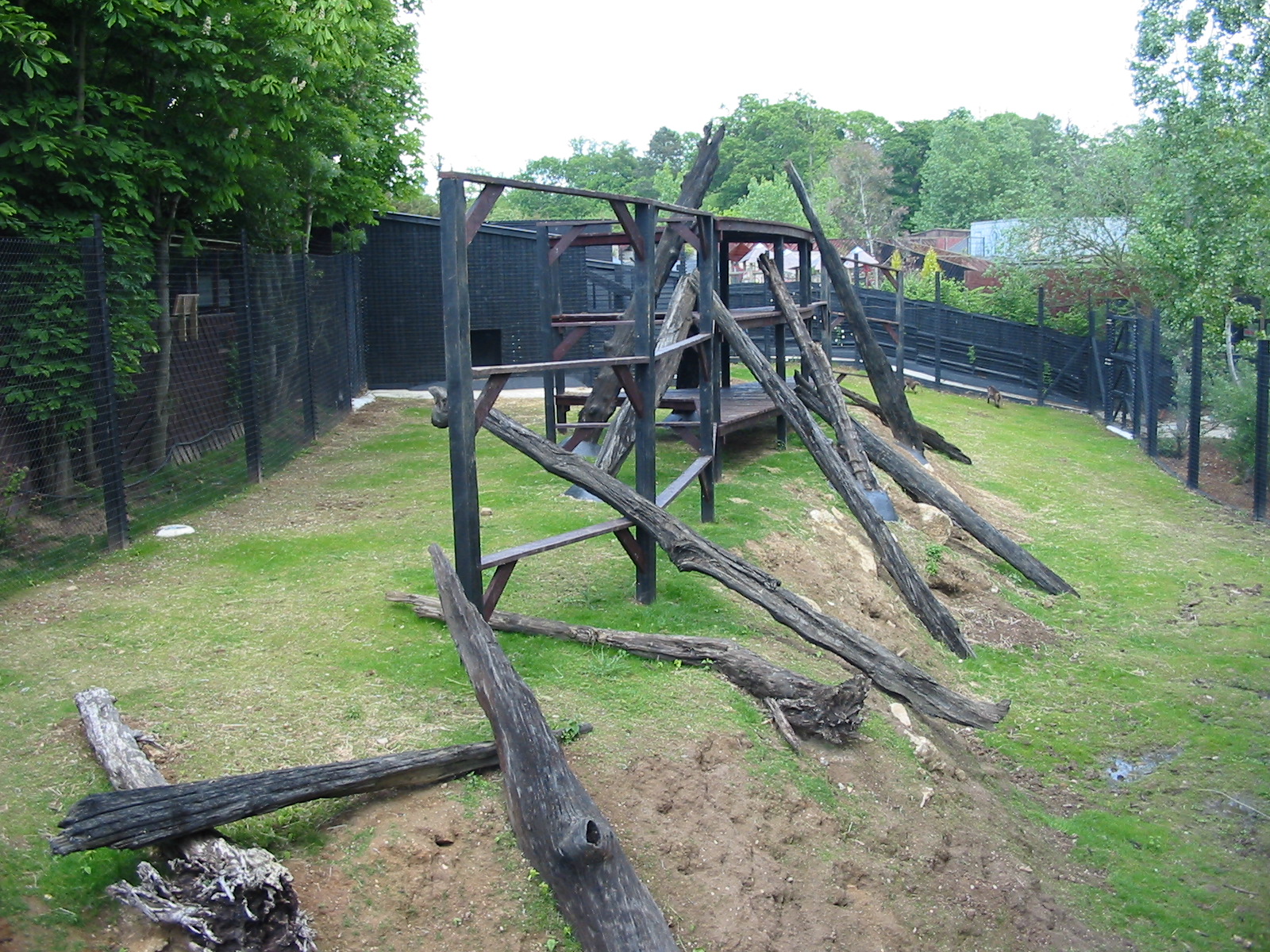 Colchester Zoo 2003 - Gelada Baboon exhibit