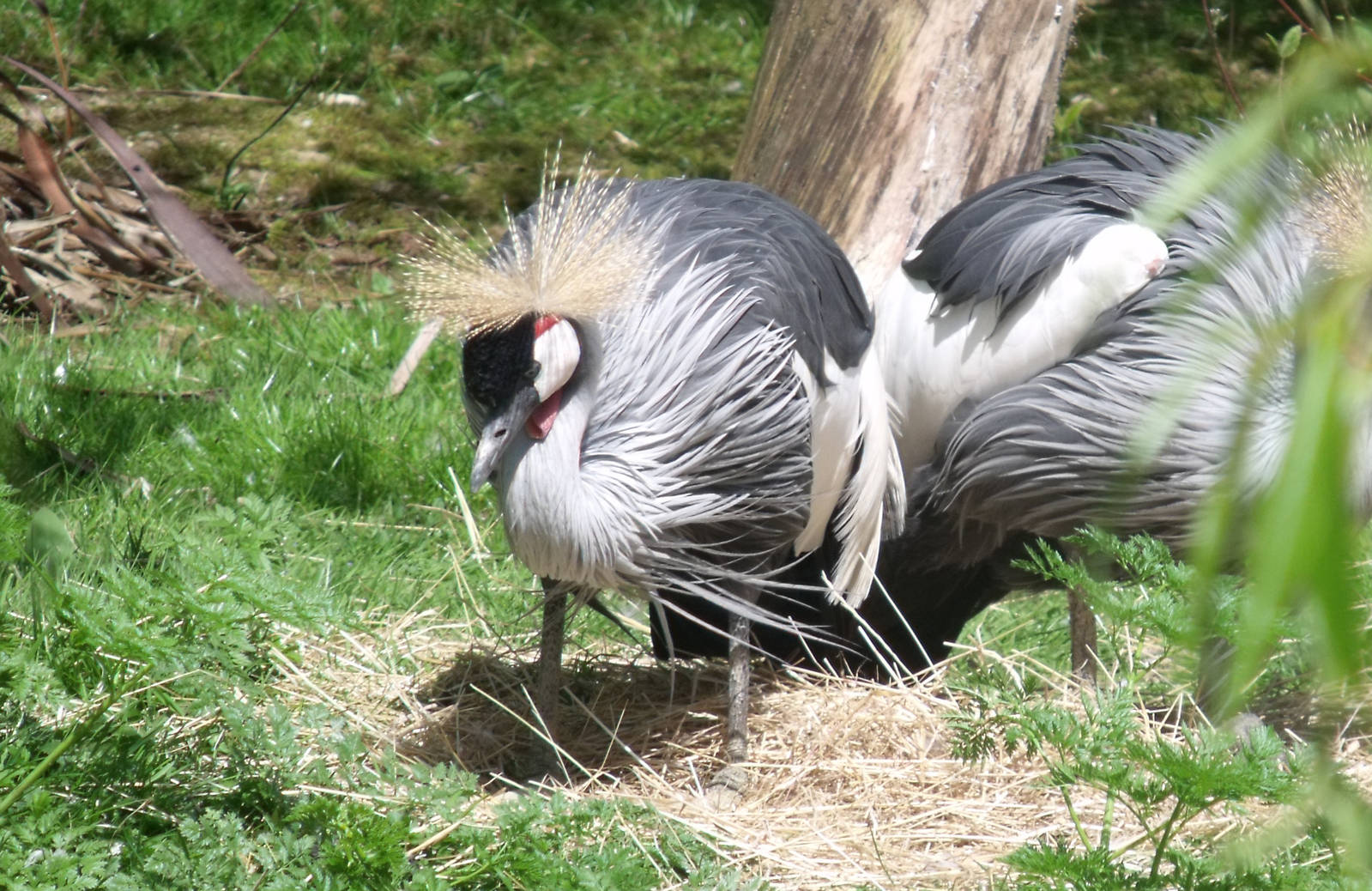 Colchester Zoo 22nd April 2010