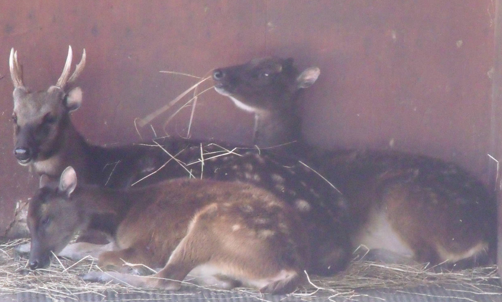 Colchester Zoo 22nd April 2010