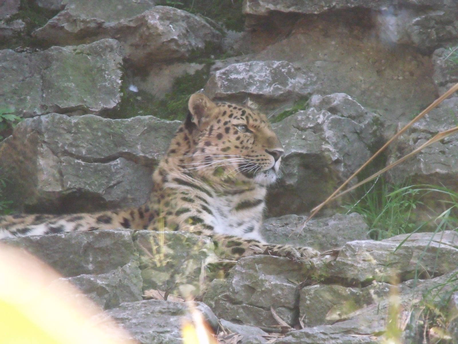 Colchester Zoo 22nd April 2010