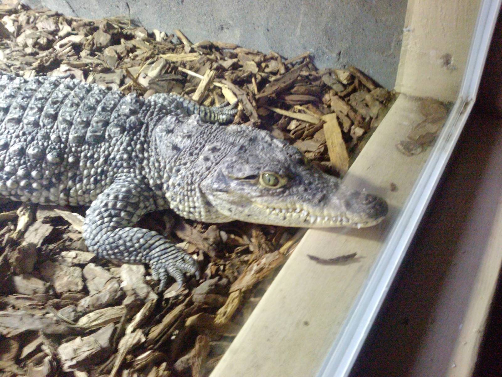 Colchester zoo 29/10/08