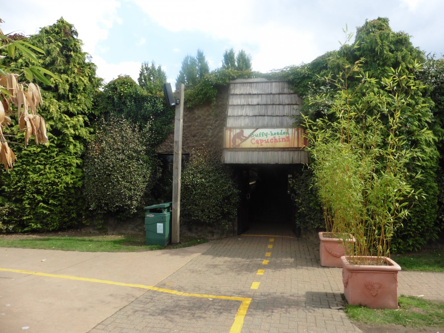 Colchester Zoo (Design): Buffy-headed Capuchin House