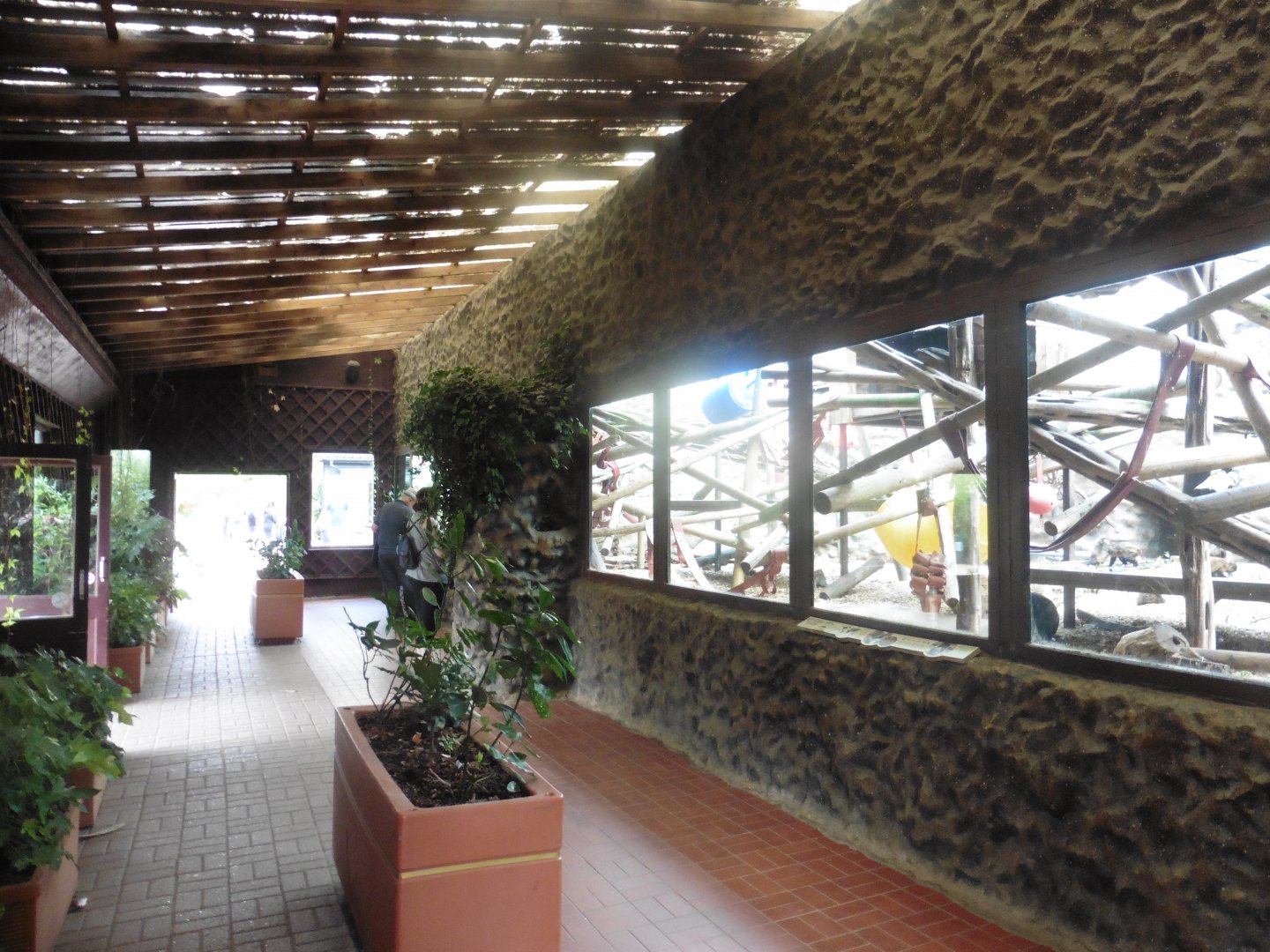 Colchester Zoo (Design): Buffy-headed Capuchin House