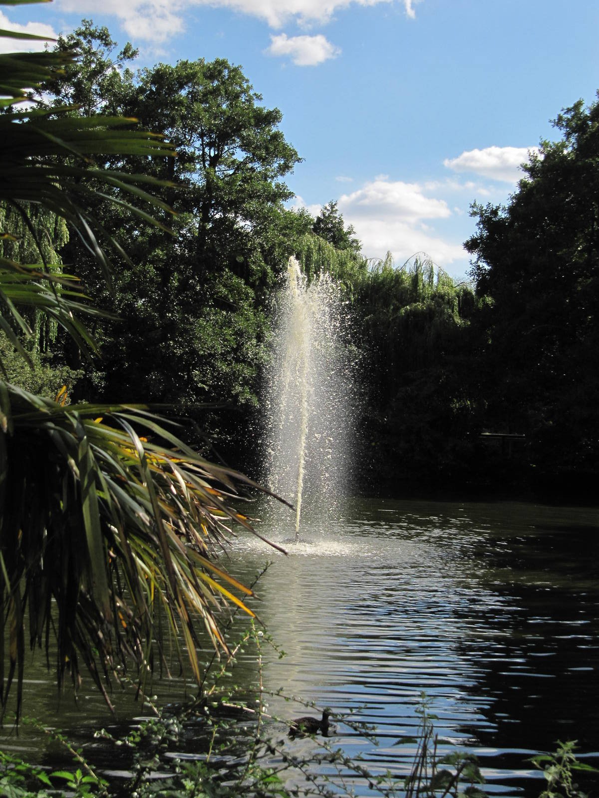 Colchester Zoo lake fountain on 06/08/2016