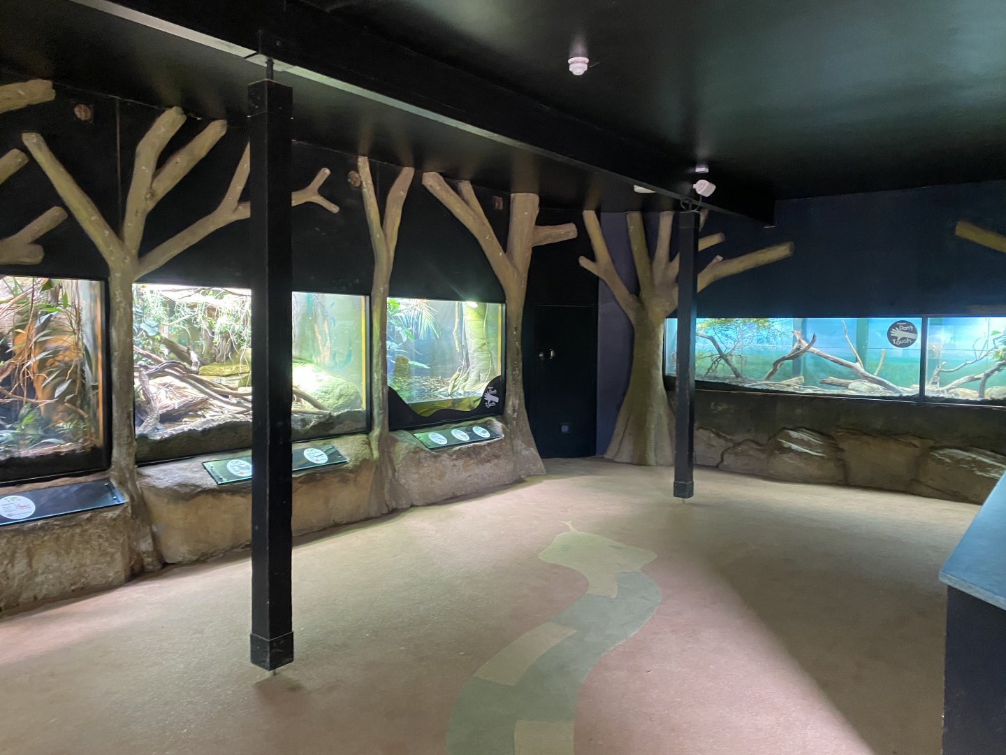 Cold Blooded Corner 150725