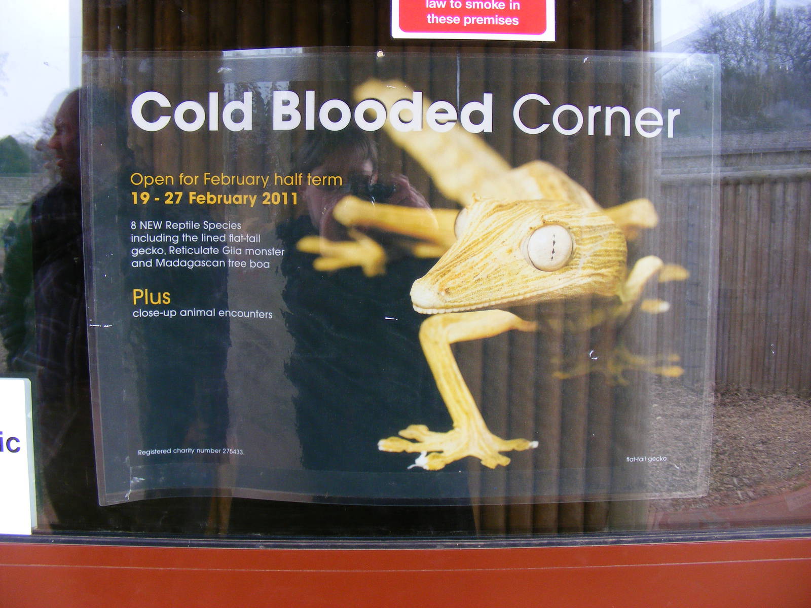 Cold Blooded Corner advertisement at Marwell Wildlife, 29 January 2011