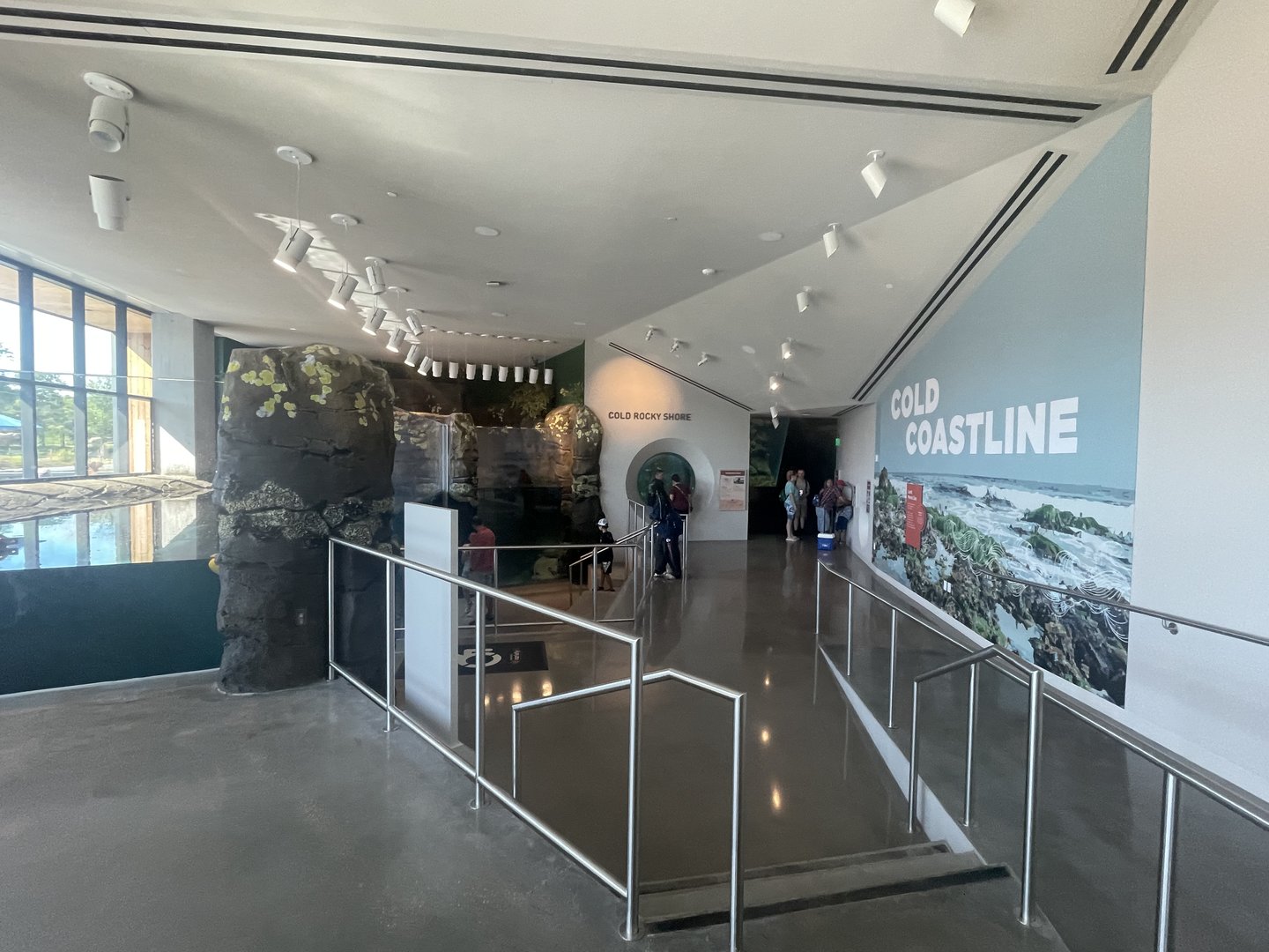 Cold Coastline General View