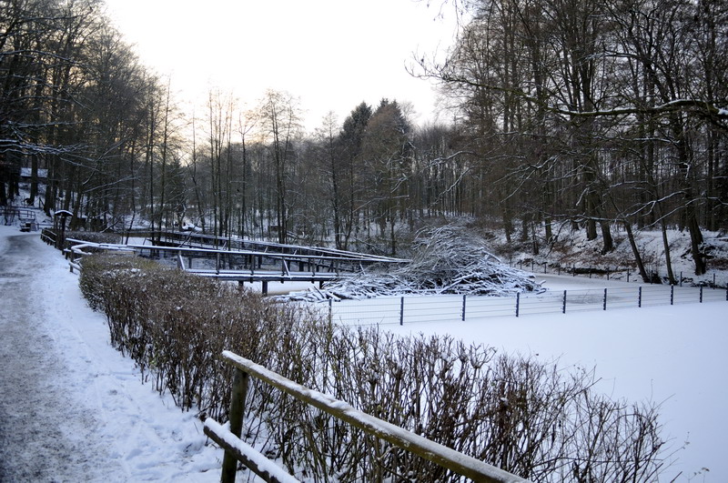 Cold in the zoo - Beever-exhibit