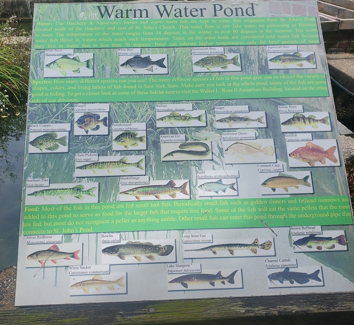 Cold Spring Harbor Fishery & Aquarium - Fishery signage