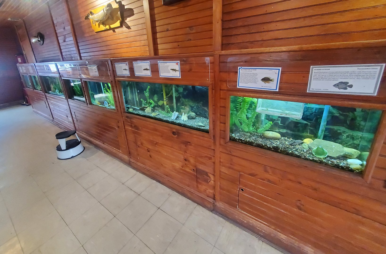 Cold Spring Harbor Fishery & Aquarium - Herp & small fish room tanks