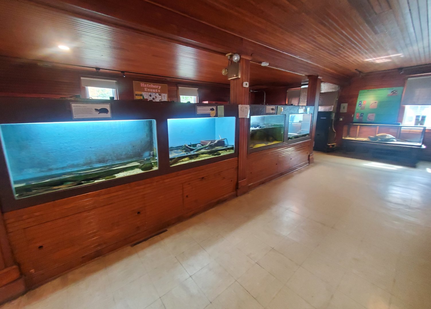 Cold Spring Harbor Fishery & Aquarium - Herp & small fish room view