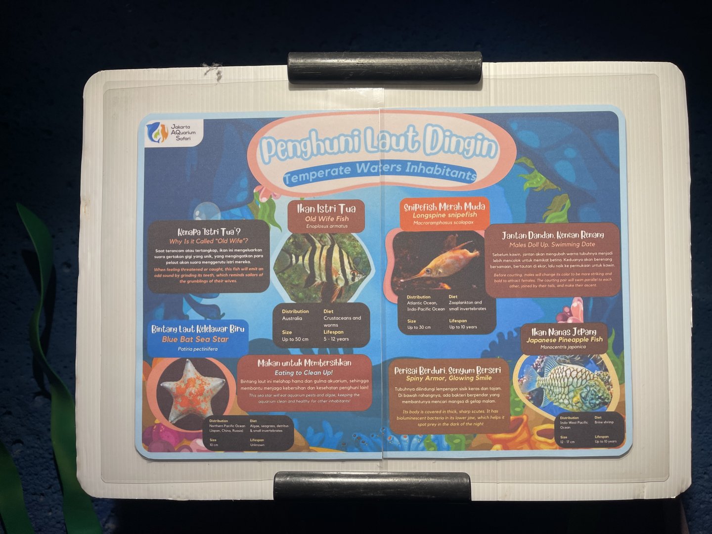 cold water fishes tank signage