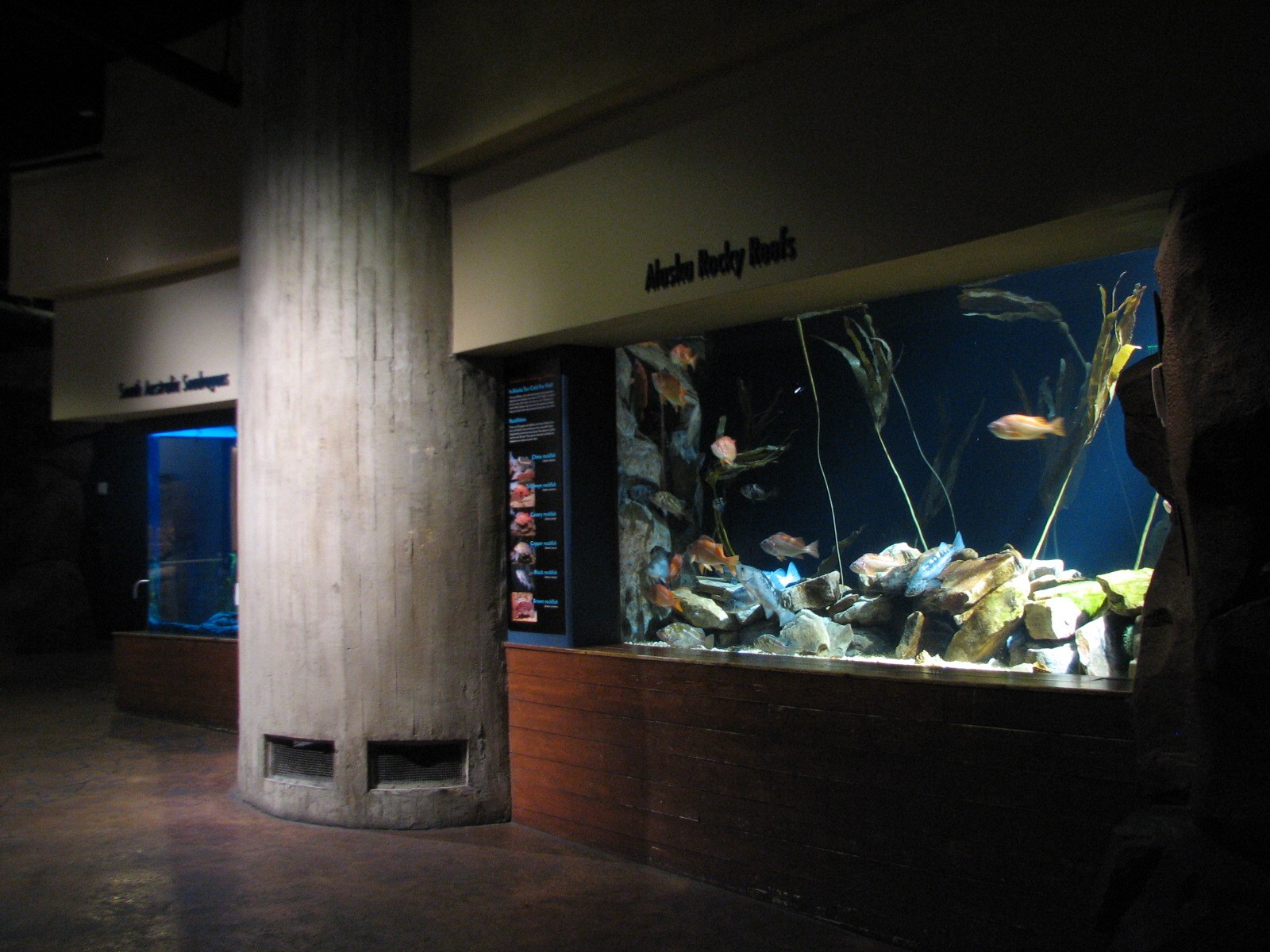 Cold Water Quest - Alaska Rocky Reef Exhibit