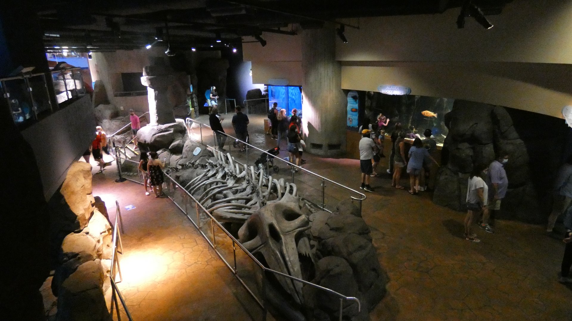 Cold Water Quest - Aug. 2021