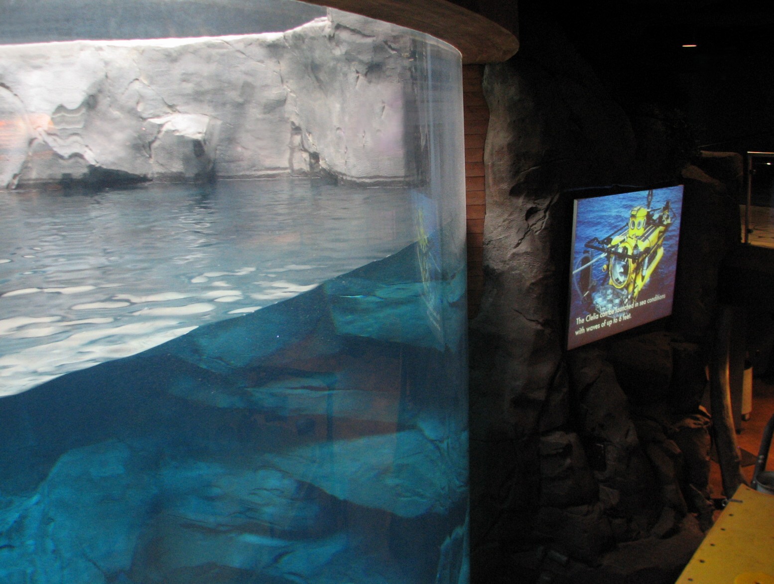 Cold Water Quest - Beluga Whale Exhibit