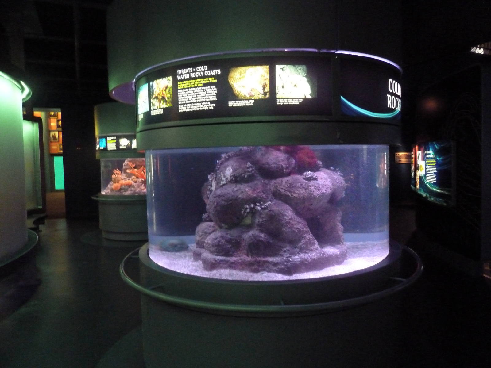 Cold Water Rocky Coast Exhibit