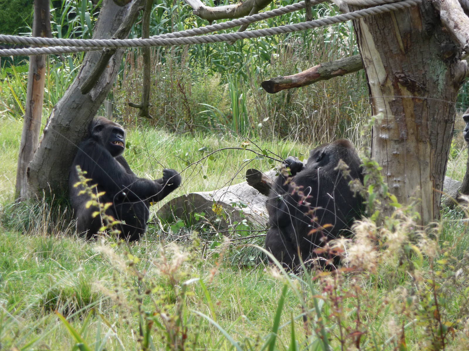 Coldplay Zoo - September 2009 005
