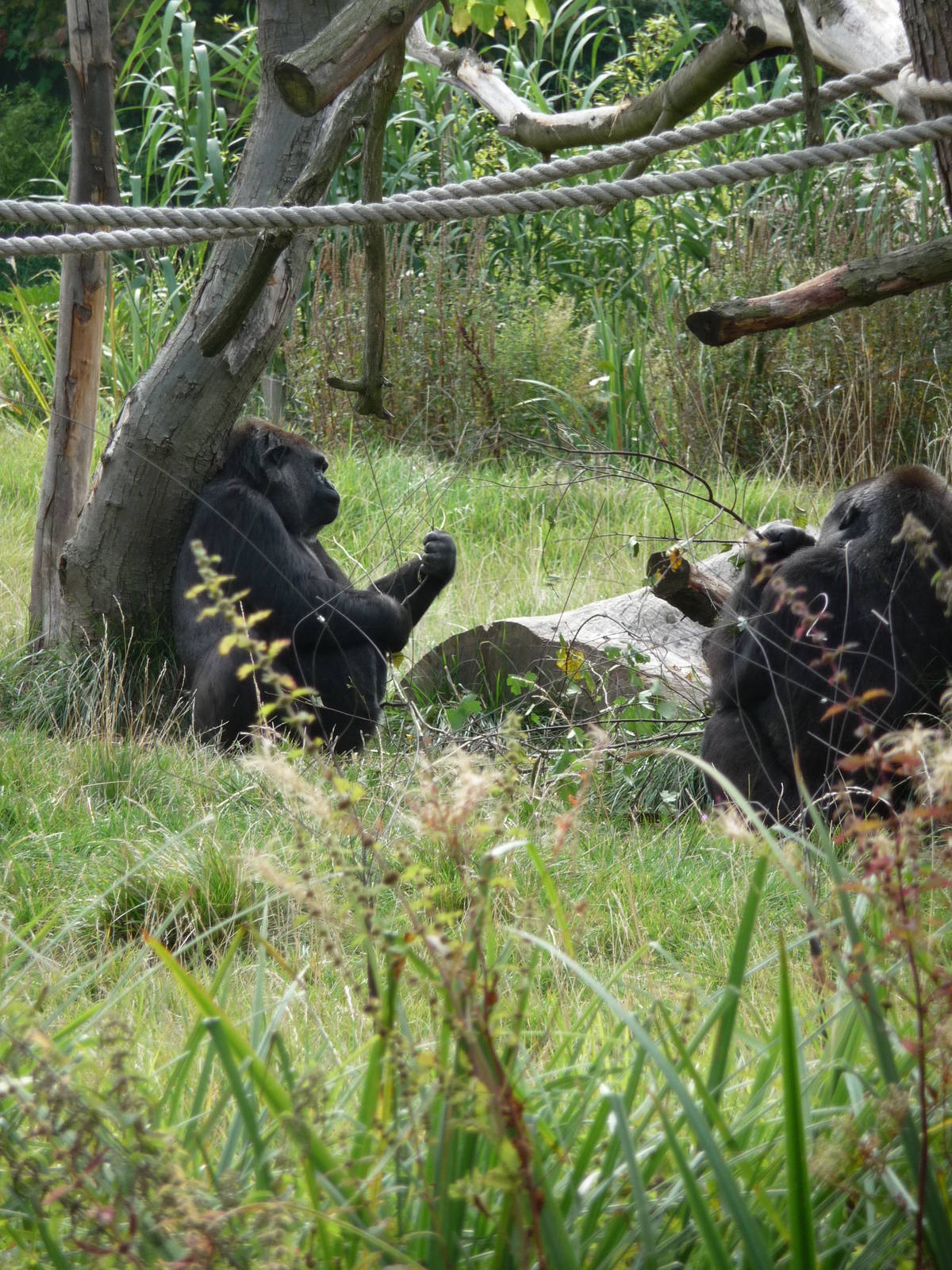 Coldplay Zoo - September 2009 007