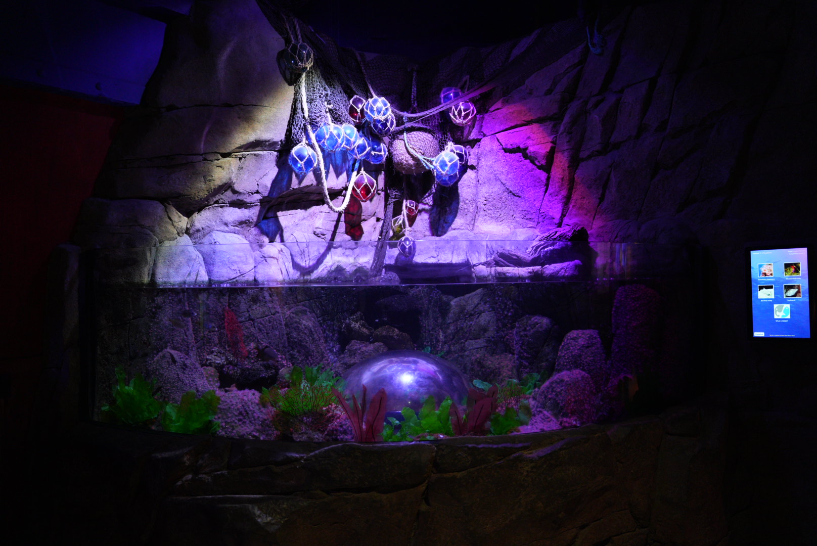 Coldwater Bubble Tank