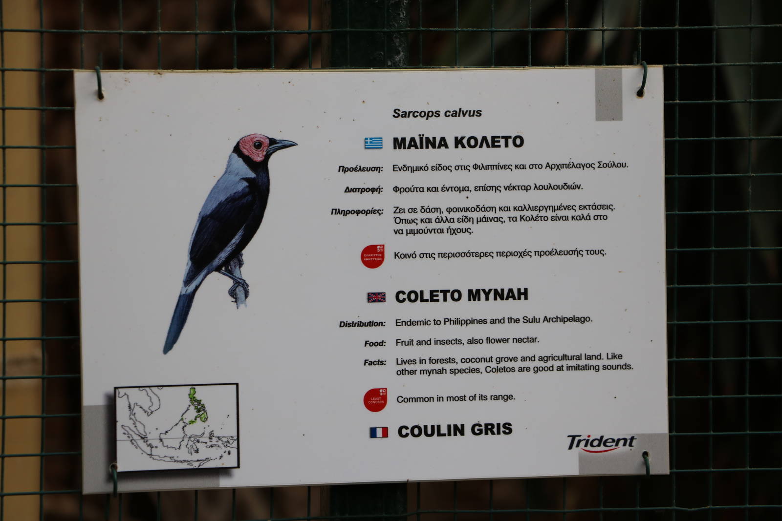 Coleto sign, February 2016