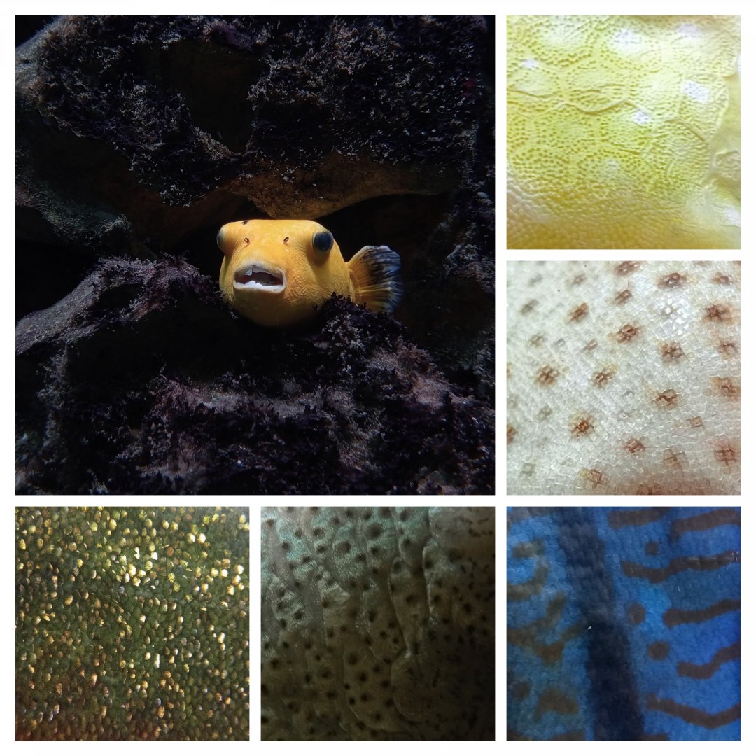 Collage of a recent visit