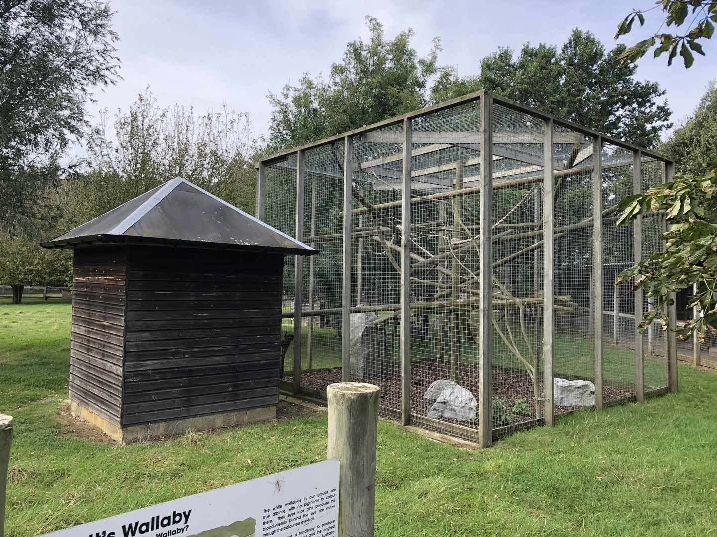 Collared Lemur Enclosure at Hamerton Zoo Park (October 2023)