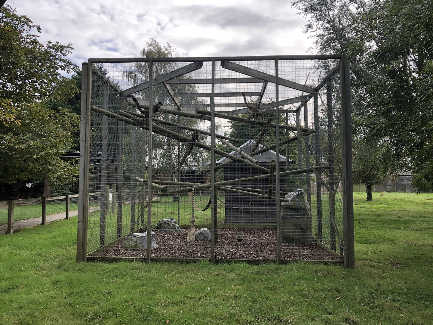 Collared Lemur Enclosure at Hamerton Zoo Park (October 2023)