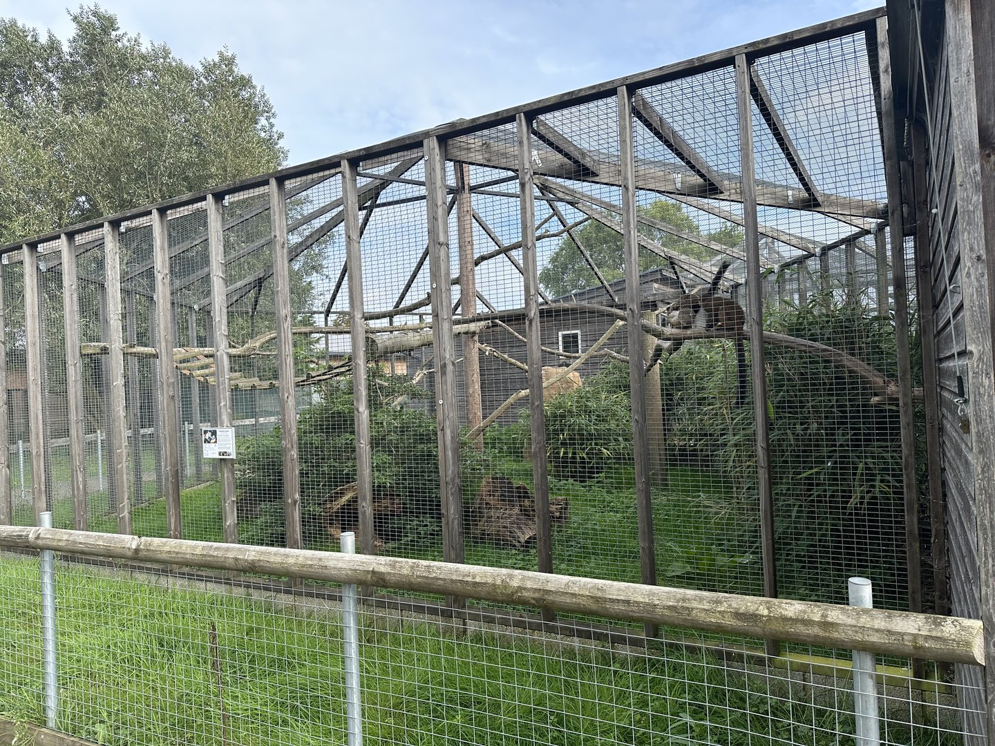 Collared Lemur Enclosure at Hamerton Zoo Park (October 2023)