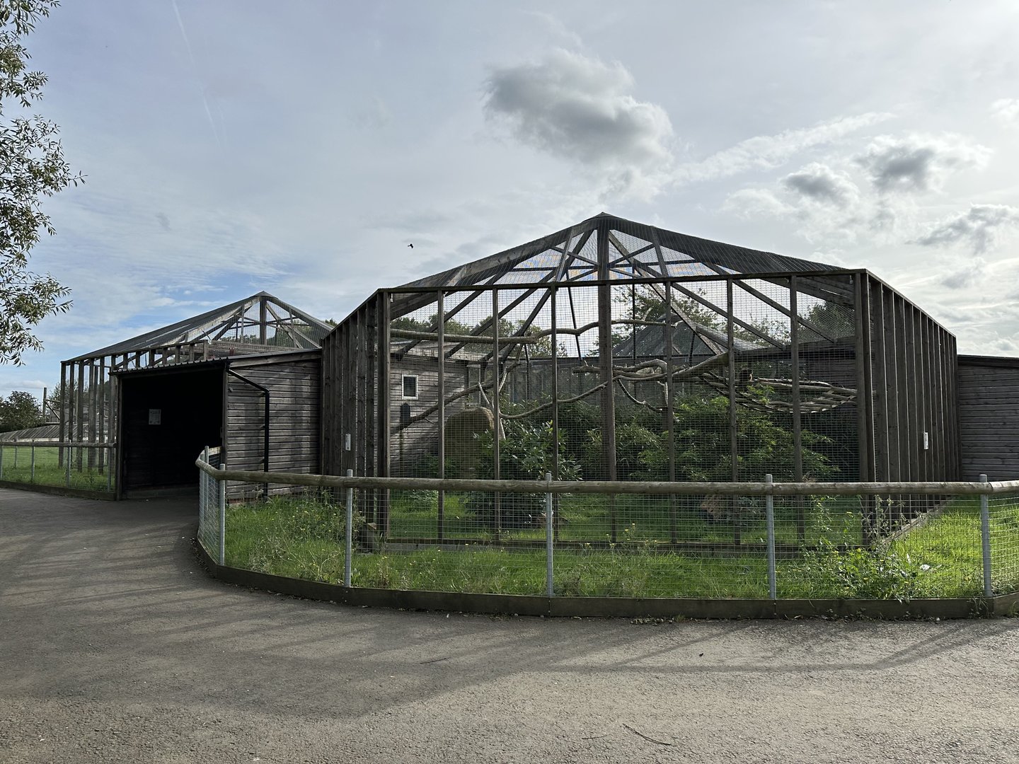 Collared Lemur Enclosure at Hamerton Zoo Park (October 2023)