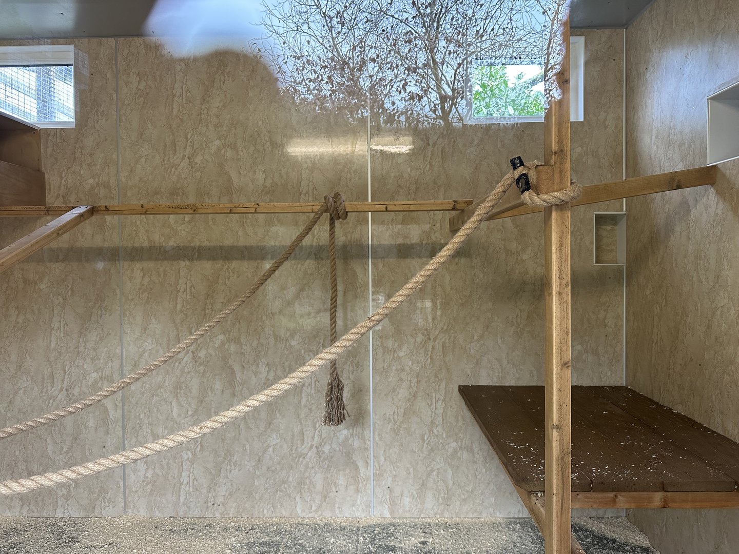 Collared Lemur Indoor Enclosure at Hamerton Zoo Park (October 2023)