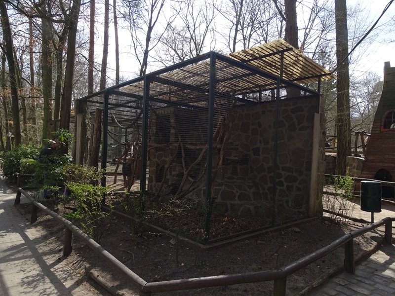Collared mangabey enclosure