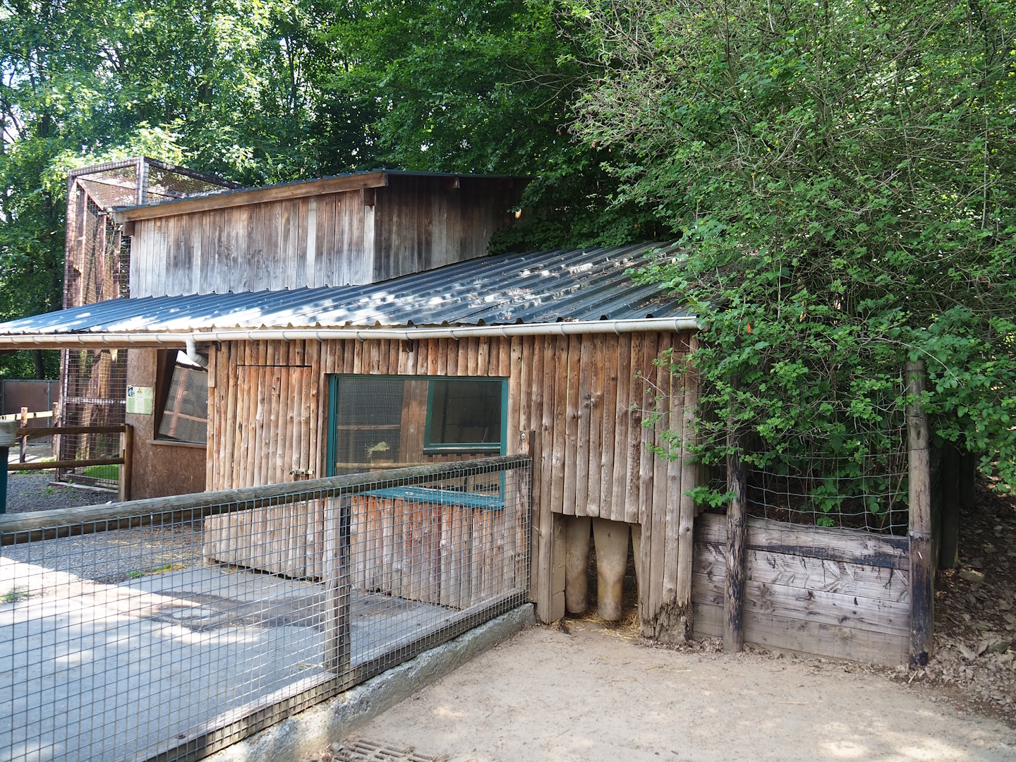 Collared peccary barn, 2023-06-242023-06-24