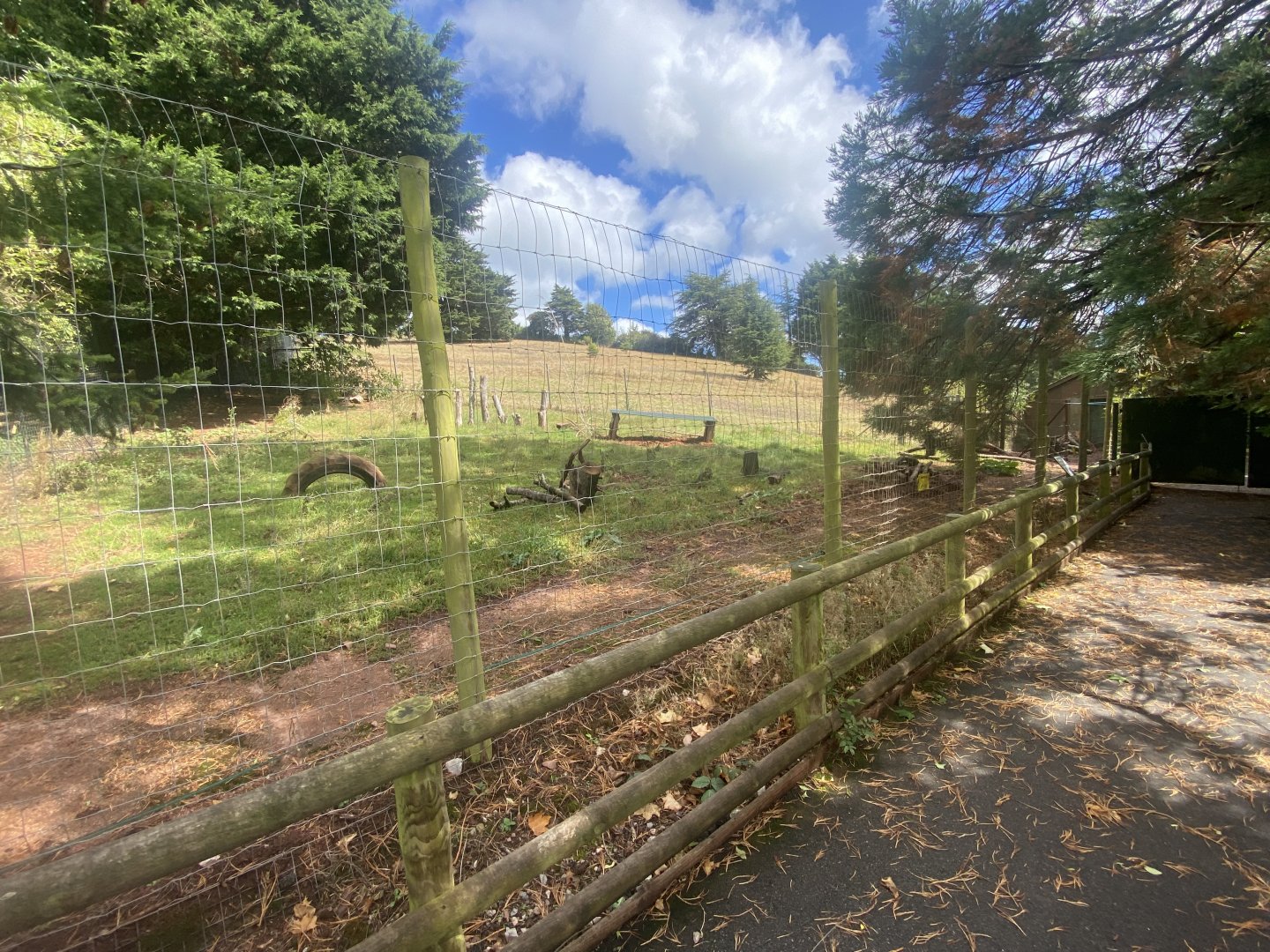 Collared peccary enclosure 030925