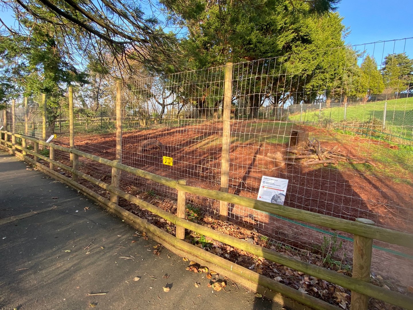 Collared peccary enclosure 161222