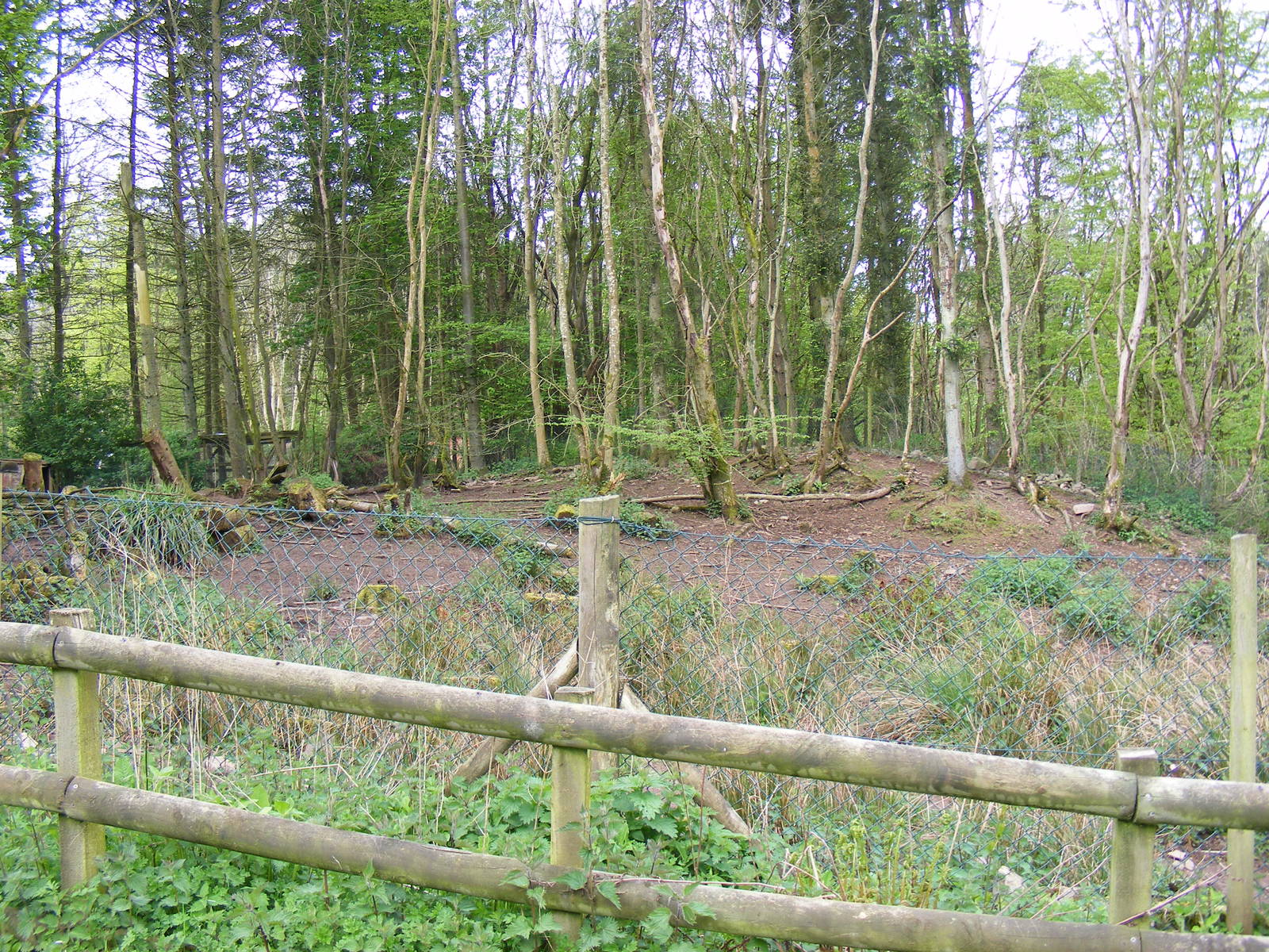 Collared peccary enclosure at Galloway Wildlife Conservation Park, 16 May 2