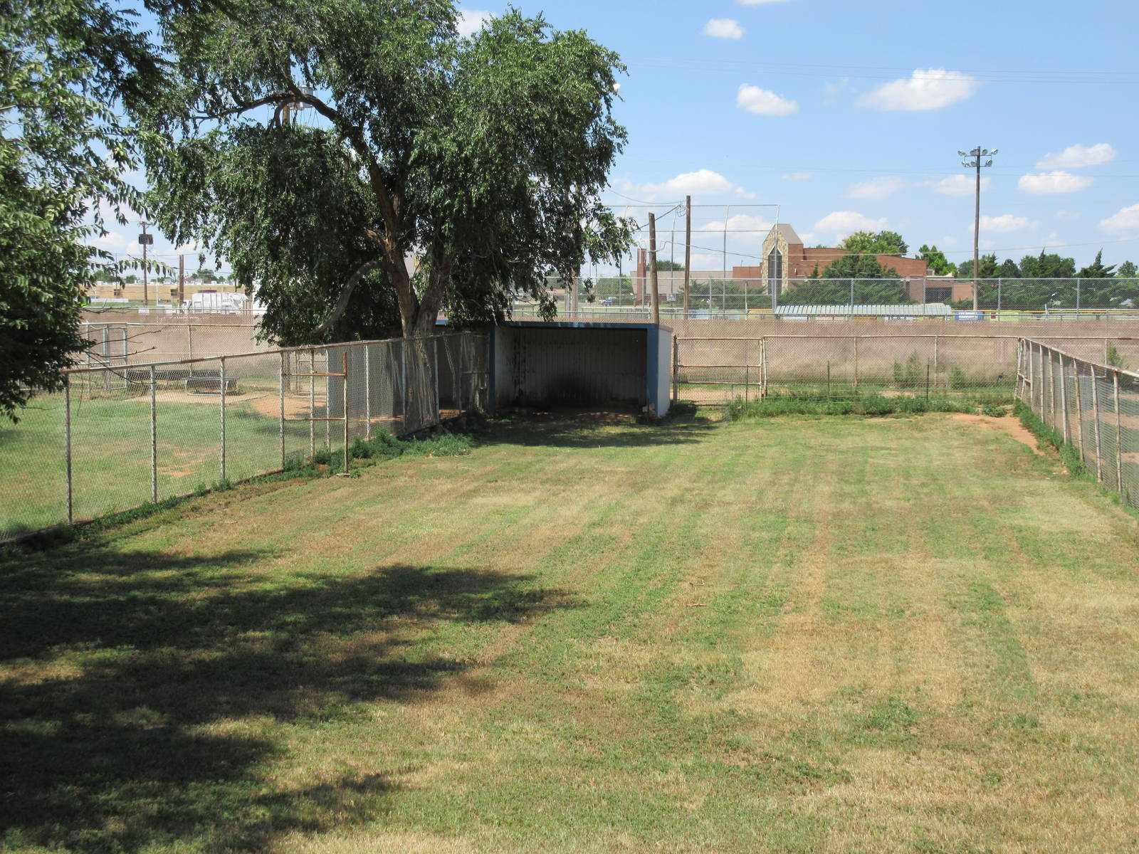Collared Peccary Exhibit