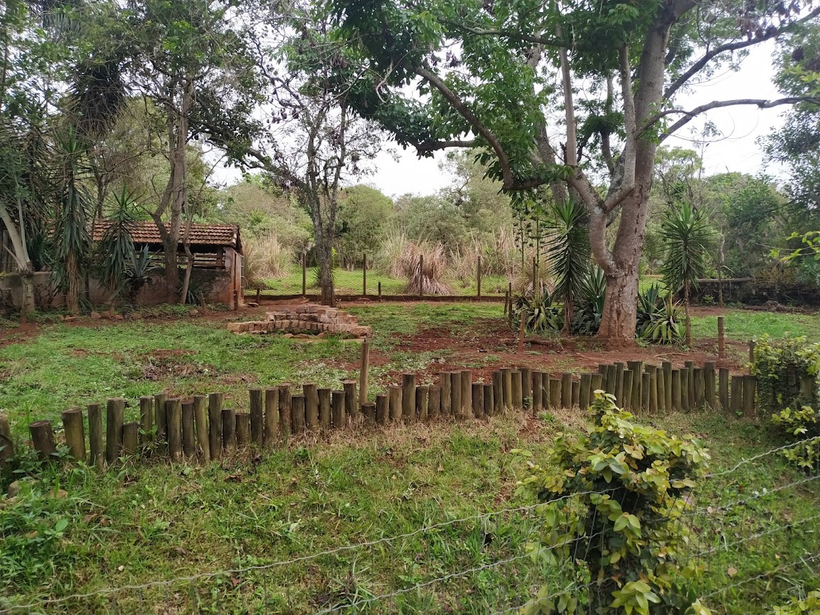 Collared Peccary Habitat
