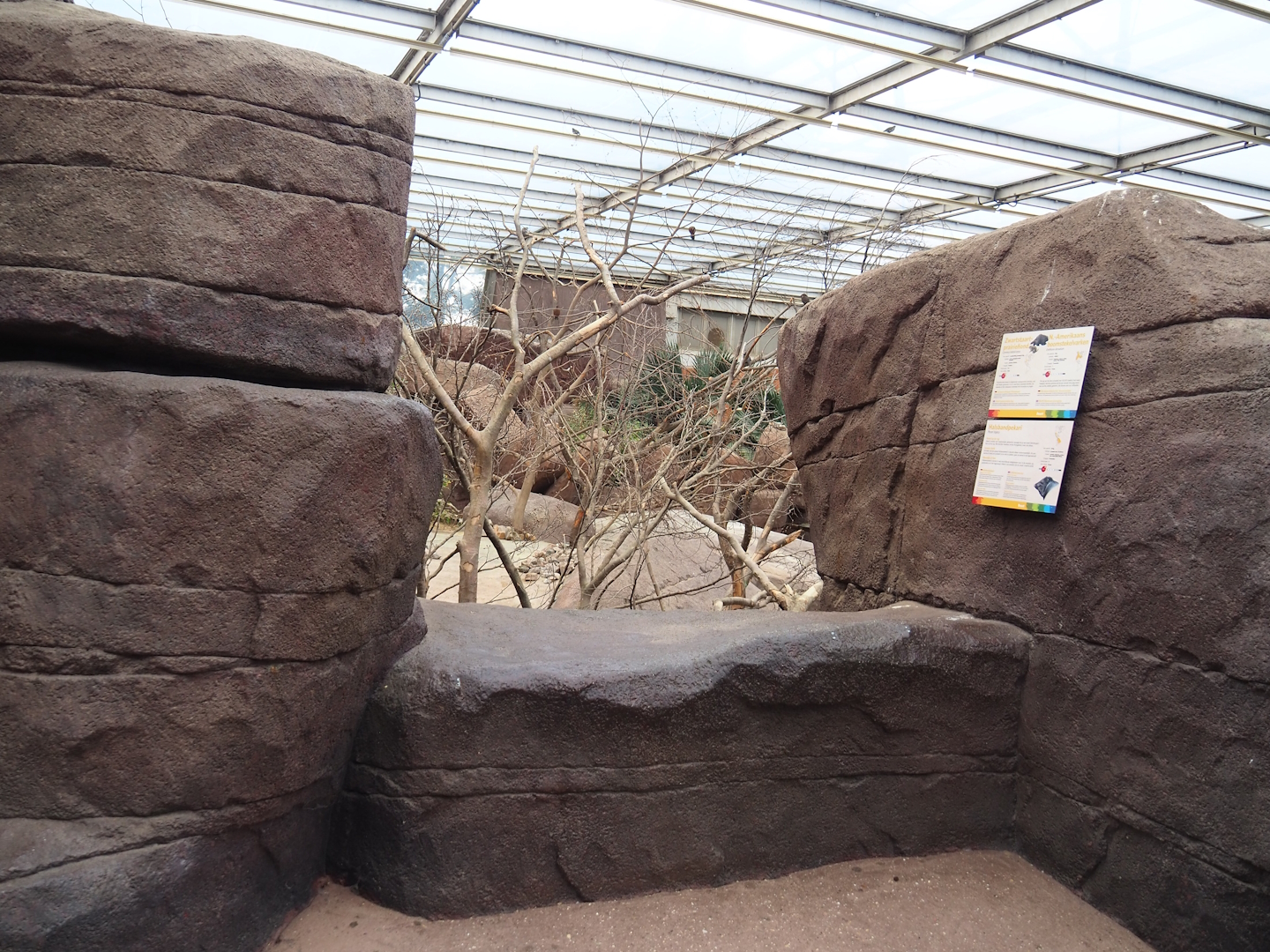 Collared peccary, North American porcupine and Black-tailed prairie dog exhibit viewing area, 2023-10-07