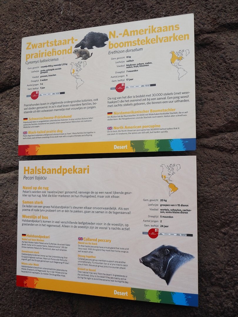 Collared peccary, North American porcupine and Black-tailed prairie dog signage, 2023-10-07