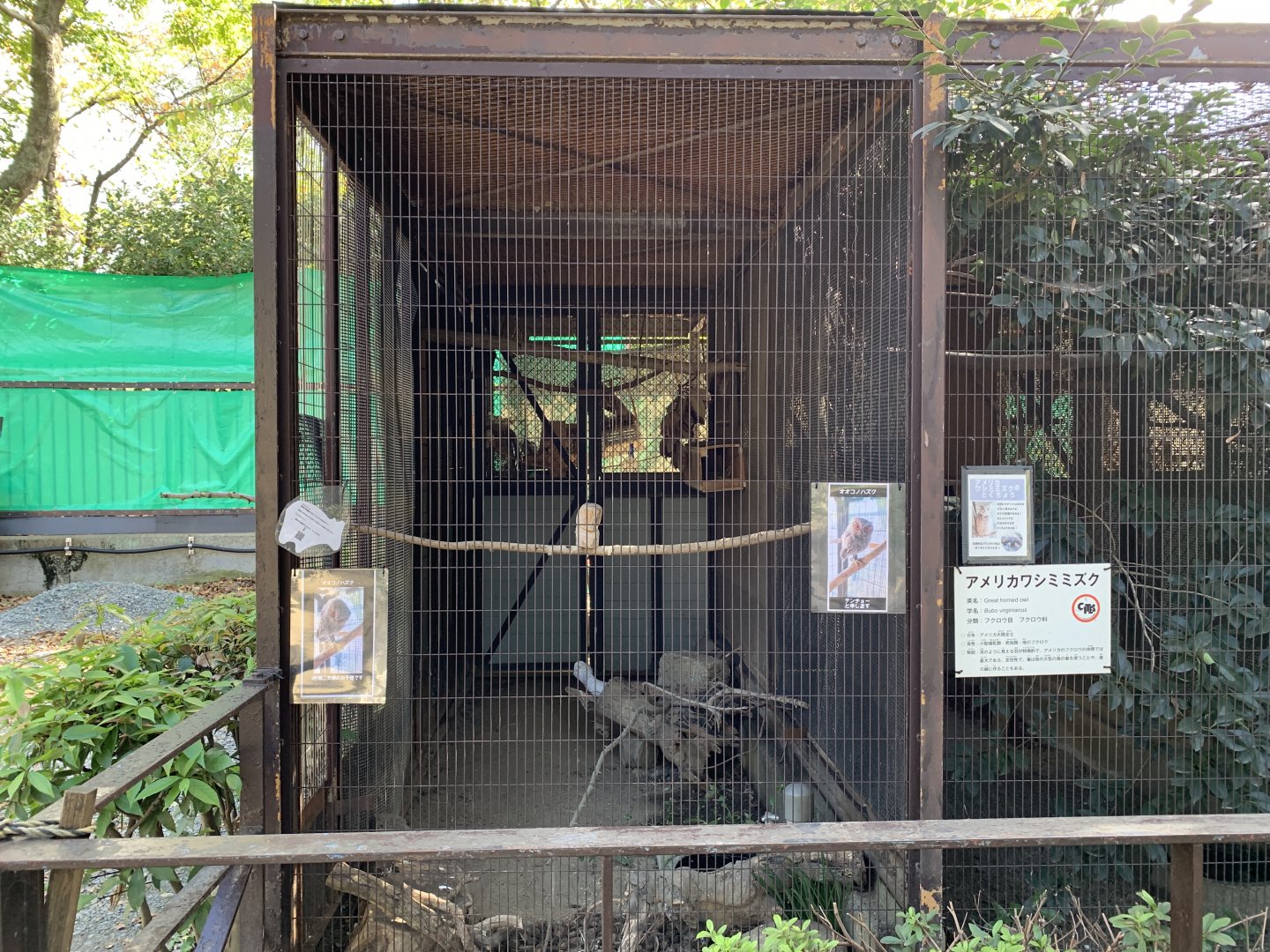 Collared Scops-Owl Enclosure (Himeji City Zoo)